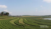 Pemandangan dari balkon