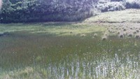 danau tadah hujan alami