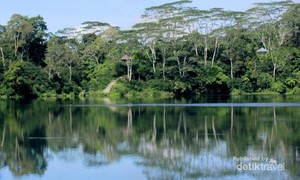 Sisi Lain Flores, Danau Ranamese yang Hijau