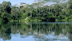 Sisi Lain Flores, Danau Ranamese yang Hijau