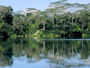 Sisi Lain Flores, Danau Ranamese yang Hijau