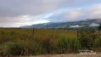 Lembah Kebar di pagi hari, bukit-bukit diselimuti awal putih