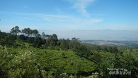 Pemandangan menuju Kawah Upas