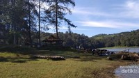 Suasana hijau di sekitar Situ Patenggang