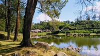 Situ Patenggang dekat kebun teh Rancabali