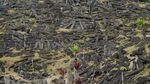 Situs Gunung Padang, Peninggalan Megalitikum dari Cianjur