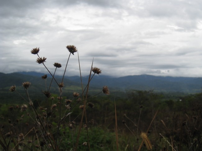 Situs Megalitik di Lembah Bada yang Cantik
