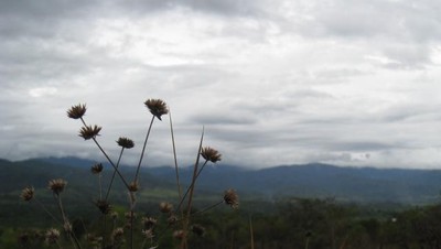 Situs Megalitik di Lembah Bada yang Cantik