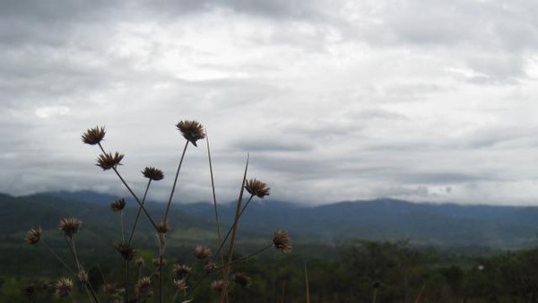 Situs Megalitik di Lembah Bada yang Cantik