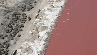 Pinggiran danau yang dipenuhi tumpukan garam (sumber: Amusing Planet)