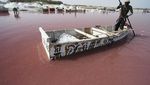 Slurp! Ada Danau Milkshake Stroberi di Senegal
