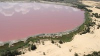 Danau Lac Rose Retba (sumber: Amusing Planet)