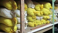 Tumpukan kopi yang baru didapat dari warga masyarakat dan siap diolah