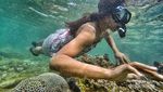 Snorkeling di Gunungkidul, Pantai Nglambor Tempatnya!