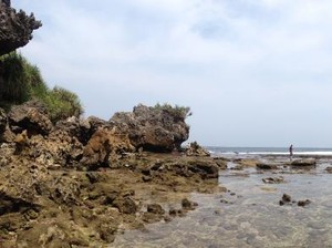 Snorkeling di Gunungkidul, Pantai Nglambor Tempatnya!