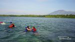 Snorkeling di Taman Nasional Baluran, Bisa Banget!