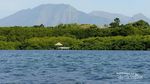 Snorkeling di Taman Nasional Baluran, Bisa Banget!