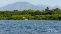 Pantai Bama, Taman Nasional Baluran