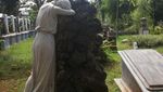 Soe Hok Gie & Patung Wanita Menangis di Museum Taman Prasasti