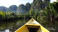 Eksotis banget di sini. Suka.