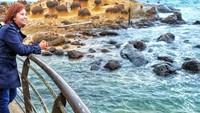 Menikmati Keunikan alam Yehliu Geopark