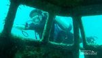 Spot Diving Unik! Bangkai VW Combi di Perairan Makassar