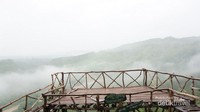 Kabut tipis seperti di atas awan