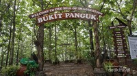 Bukit Panguk