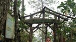 Spot Foto yang Instagram-able di Jawa Timur