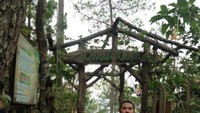 Pintu masuk Omah Kayu