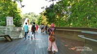 Terdapat banyak pepohonan di sekitaran jembatan sehingga udaranya begitu sejuk