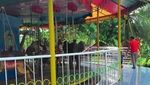 Ssst.. Ada Kembaran Taman Safari di Lampung