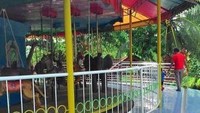 Carousel