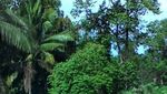 Ssst.. Ada Kembaran Taman Safari di Lampung