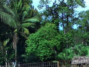 Ssst.. Ada Kembaran Taman Safari di Lampung