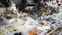 Beberapa benda pusaka dan barang antik yang dijual di Pasar Batu Aji Jatinegara (Desi Puspasari/detikTravel)