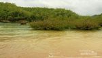 Ssst, Ada Pantai Perawan untuk Berenang di Pacitan