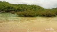 Hutan bakau Pantai Teban