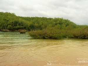 Ssst, Ada Pantai Perawan untuk Berenang di Pacitan