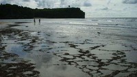 Di pantai ini masih terdapat karang, hati-hati saat melangkahkan kaki Anda! (Fahmi Rijal Mohamadi/dTraveler)