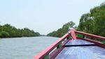 Ssst, Ada Tempat Wisata Hutan Bakau di Surabaya