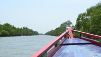 menyusuri indahnya hutan bakau