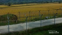Pagar kawat di DMZ