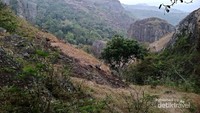 Pemandangan saat perjalanan turun dari puncak