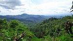 Ssst, Ini Dua Wisata Beda di Yogyakarta
