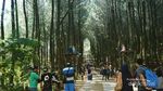 Ssst! Ini Tempat Seru-seruan yang Baru di Magelang
