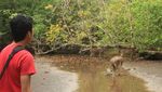 Ssst! Rahasia Memukau di Balik Pantai Pangandaran