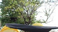 camp