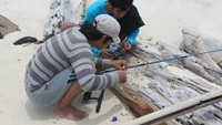 mancing