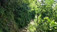 Jalan yang masih tanah